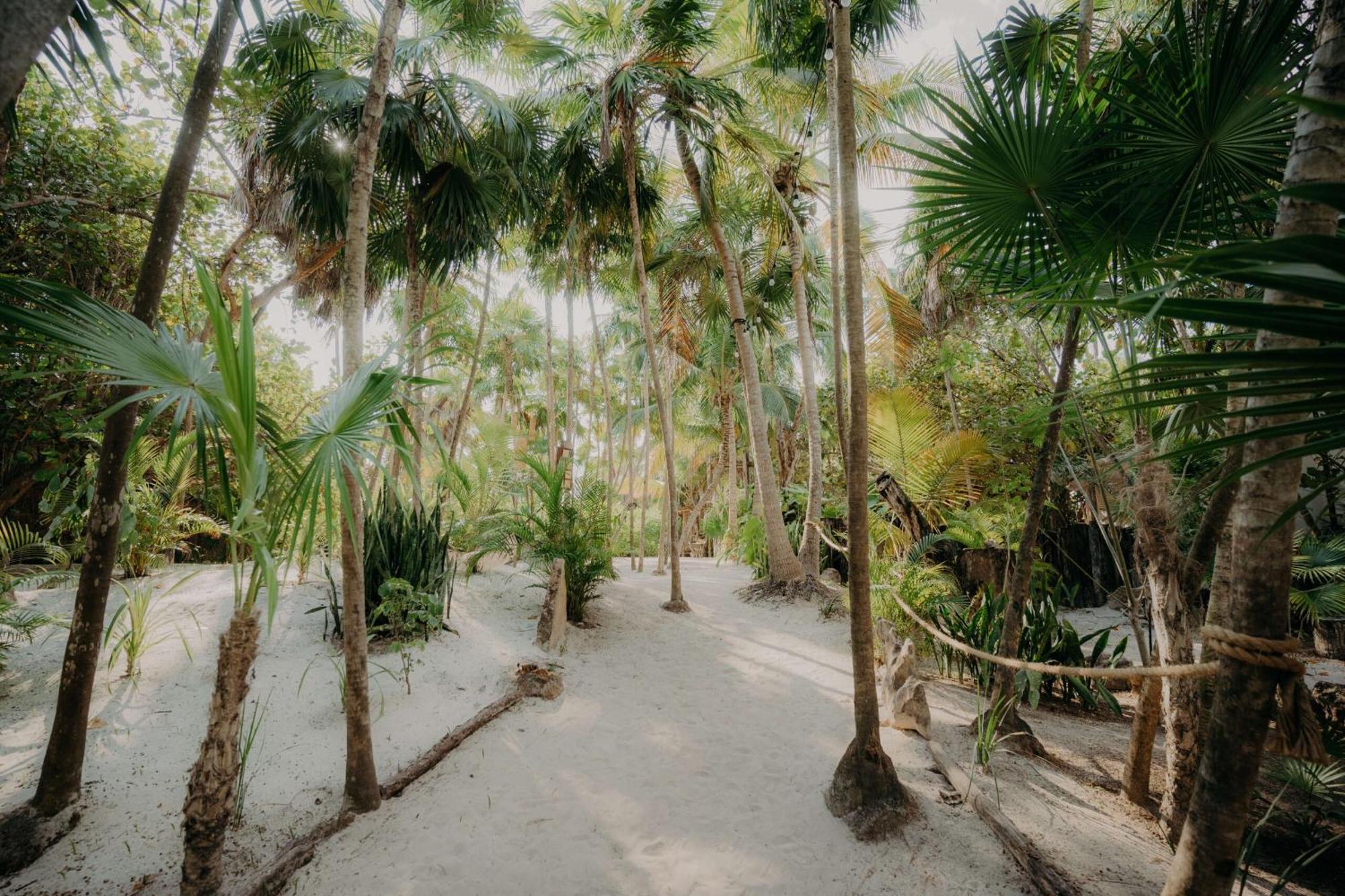Luxury Penthouse With Private Pool In Aldea Zama Appartement Tulum Pueblo Buitenkant foto