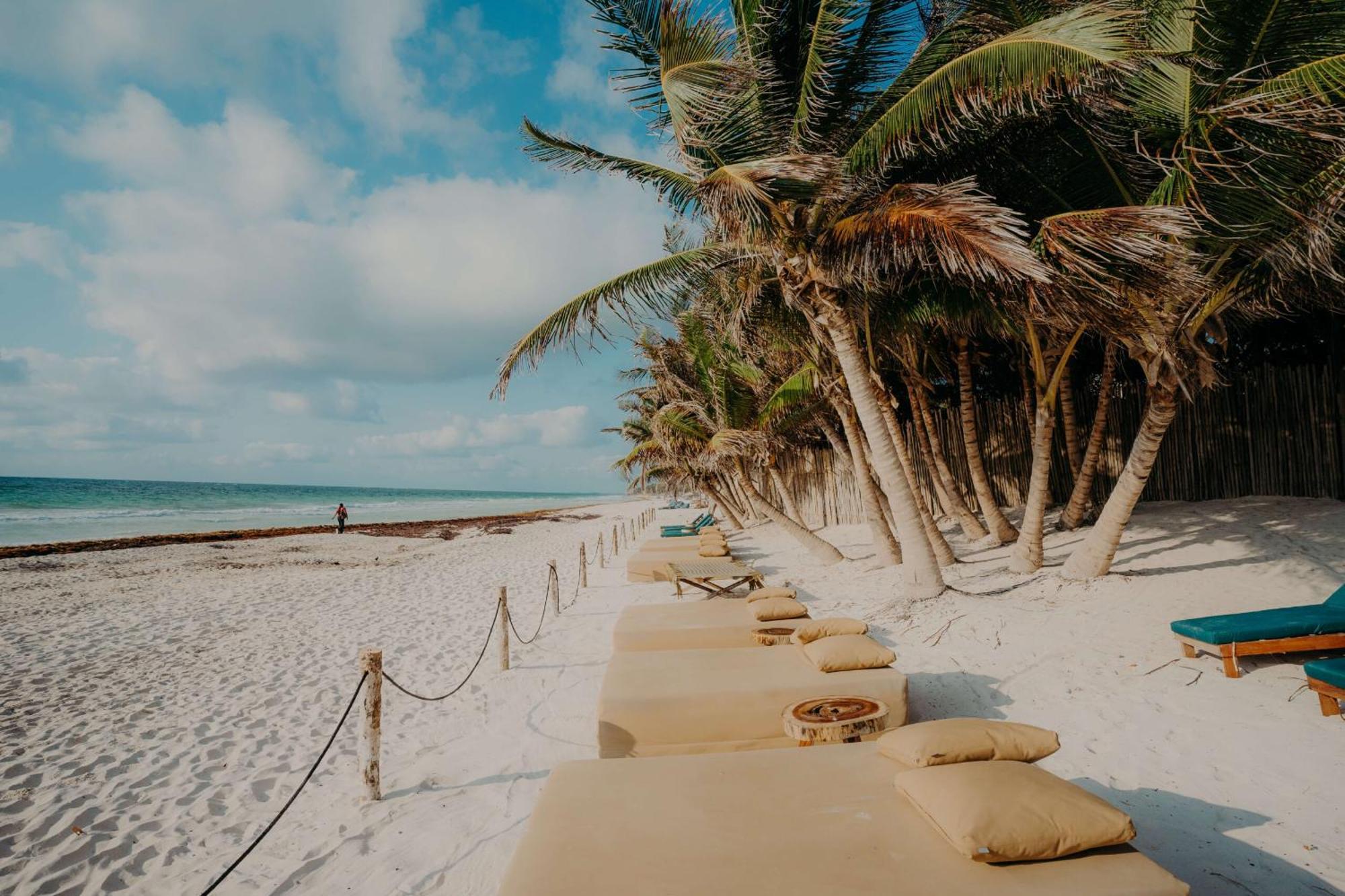 Luxury Penthouse With Private Pool In Aldea Zama Appartement Tulum Pueblo Buitenkant foto
